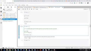 7. Python in Tamil -  Numericals Literals(DataType)