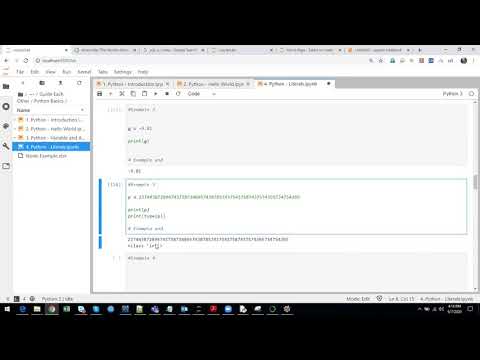 7. Python in Tamil -  Numericals Literals(DataType)