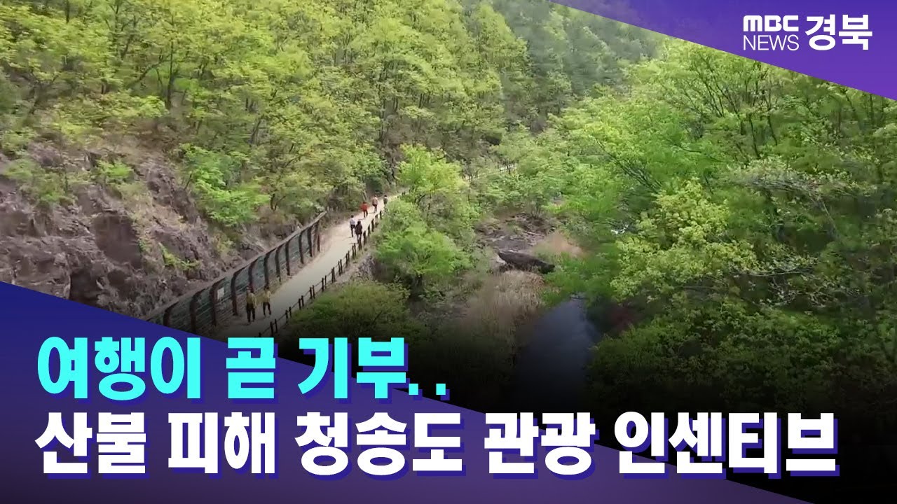 여행이 곧 기부..산불 피해 청송도 관광 인센티브/ 안동MBC