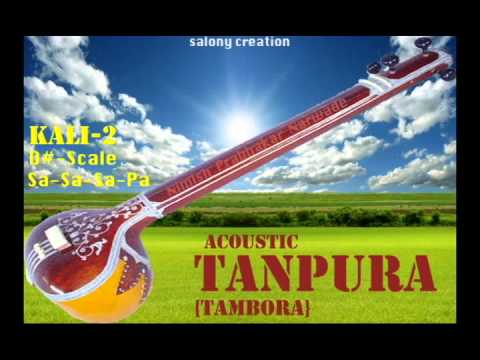 TANPURA KALI 2 SCALE D  PLAYED BY NIMISH NARWADE