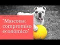 Mascotas: compromiso económico