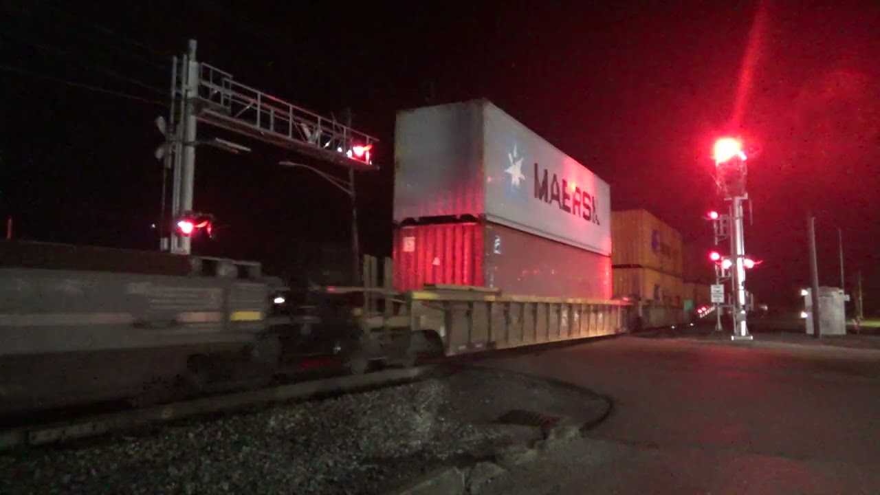 'Some not so common visitors' 3/5/26.