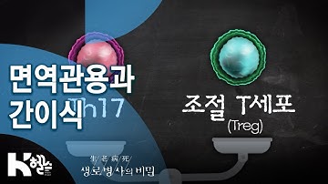 면역관용과 간이식 - 741회 (20.07.29) 면역이 관용을 허락하는 시간