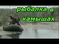 Рыбалка в камышах на поплавок.Рыбалка с ночёвкой.Рыбалка на карася с лодки