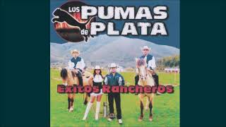 Video thumbnail of "Los Pumas De Plata - Me Llamas"