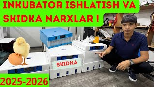 видео: Inkubator qo’llanmasi Инкубатор колланмаси ☎️+998887600577 #2025 #inkubator #jo’ja #tovuq #2026 картинка: Inkubator qo’llanmasi Инкубатор колланмаси ☎️+998887600577 #2025 #inkubator #jo’ja #tovuq #2026