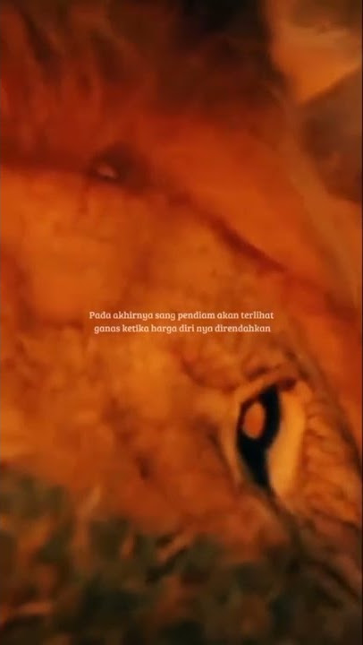 diam menghanyutkan bergerak mematikan 🔥#story #shortvideo #ultrahdgraphics