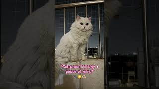 “My cats love the balcony view 🐾But safety comes first.Cat-proofing = stress-free pet parenting.