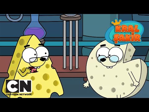 KRAL ŞAKİR | Peynir Mirket | TAM BÖLÜM | TV İLE AYNI GÜN | Cartoon Network Türkiye