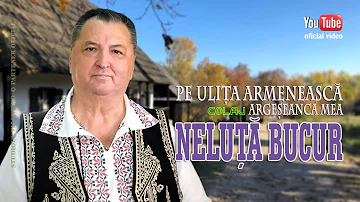 NELUTA BUCUR . Pe ulita armeneasca - Argeseanca mea (oficial video)