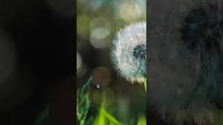 How Investing Today Can Secure Your Future Tomorrow