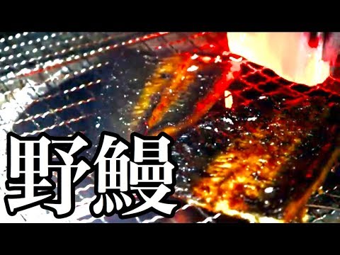 野鰻 ～薪ストで鰻を焼いて食べる～