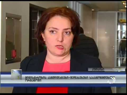 მინისტრობის კანდიდატები - შეფასებები საკანონმდებლო ორგანოშიstrobis