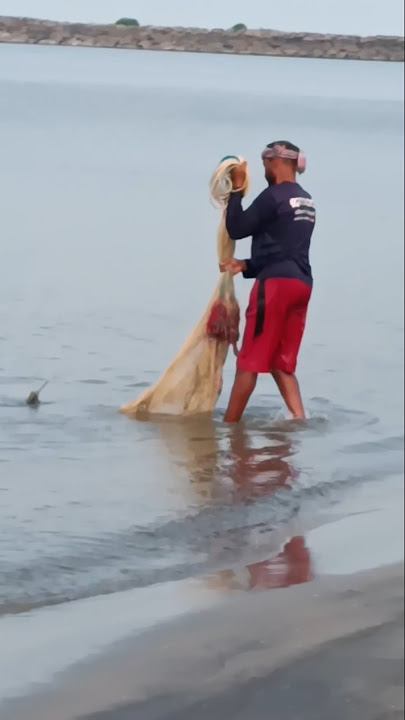 വലിയിൽ കുരുങ്ങിയ മീൻ കണ്ട് ഞെട്ടി  #viral #foryou #shorts #song #trending #youtubeshorts