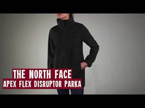 the north face apex flex gtx parka