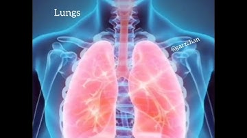 Light Language for Lungs - Garz Chan