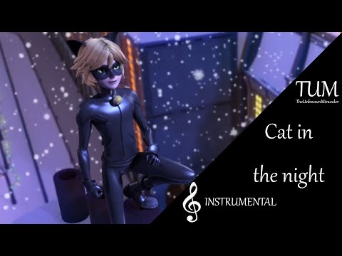 Miraculous: Song: Cat in the night | Instrumental
