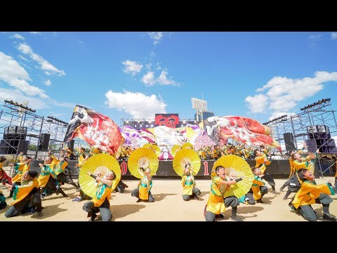 [4K] 京都よさこい連心粋　こいや祭り 2019 2日目