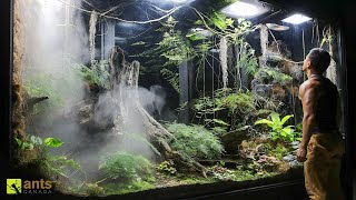 Thumbnail for Invasive Ants Broke Into My Giant Rainforest Vivarium