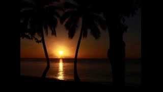 Adult Swim Bump - Mix Fruit