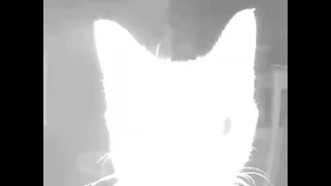 flashbang [DEVBUILD]