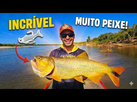 INCRIVEL PESCARIA NO RIO Pesca de dourado isca artificial