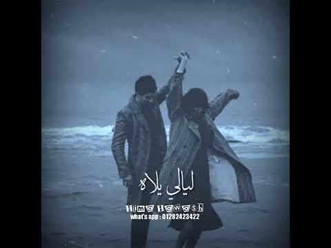 عارفة أحلى حاجة فيكي إيه حالات واتس محمد حماقى