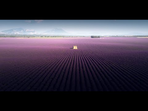 Lavendelfeltet i Valensole i Sør-Frankrike, DJI Mavic Air - Samir BELHAMRA @Grafixart_photo