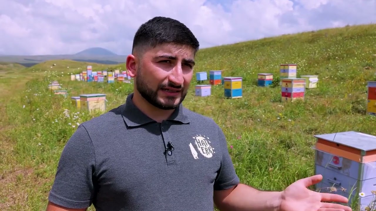 Melilotus Honey / Beekeeping in Armenia / Haterk Food.  Մելիլոտուսի մեղրի արտադրությունը Հայաստանում