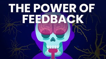 How Feedback Loops Control Everything Around You!