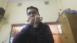 Tum Bin Jau Kaha Harmonica Cover