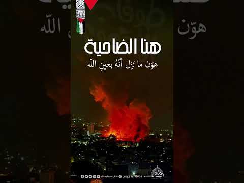 هنا الضاحية هو ن ما ن ز ل أن ه بعين الله