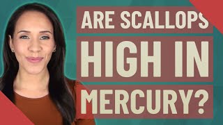 Are scallops high in mercury?