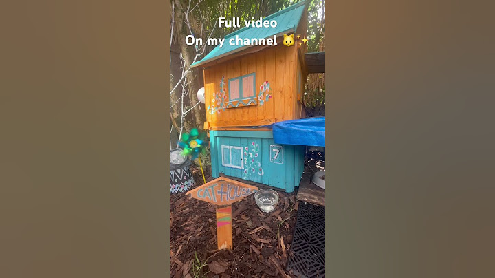 I build a cat house for a strays✨🐱