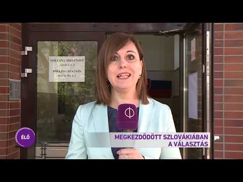 Videó: Szlovákia Offshore. Cégbejegyzés Szlovákiában