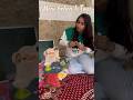 मेरी Choti BEHEN ka खज़ाना❤️#minivlog #hostellife #collegelife#playing#comedyshorts#viral #girl