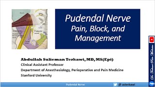 Pudendal Nerve: Pain, Block, and Management