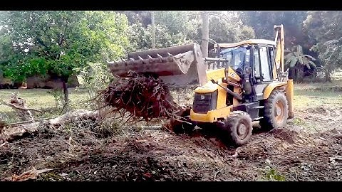 JCB Backhoe 3DX Throwing The Roots Of The Tree / JCB DOZER STUNT VIDEO