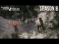 BUGLING BULLS On Public Land | Nevada Archery Elk (Amazon Episode)