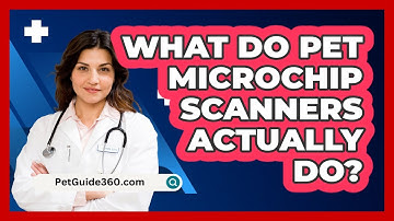 What Do Pet Microchip Scanners Actually Do? - PetGuide360.com