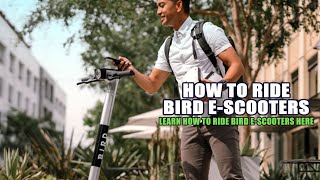 How to Ride Bird E-Scooters