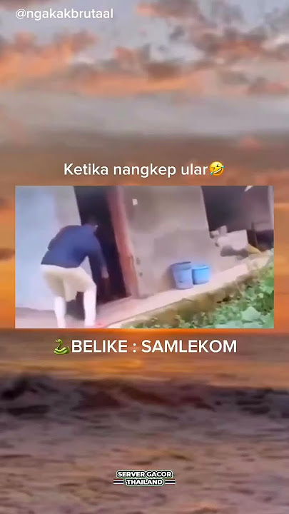 SAMLEKOM #shortvideo #meme #trending #trendingshorts