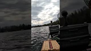 smallies are fattening up #kayakbassfishing #smallmouthbassfishing #fishingwithfriends #exploremore