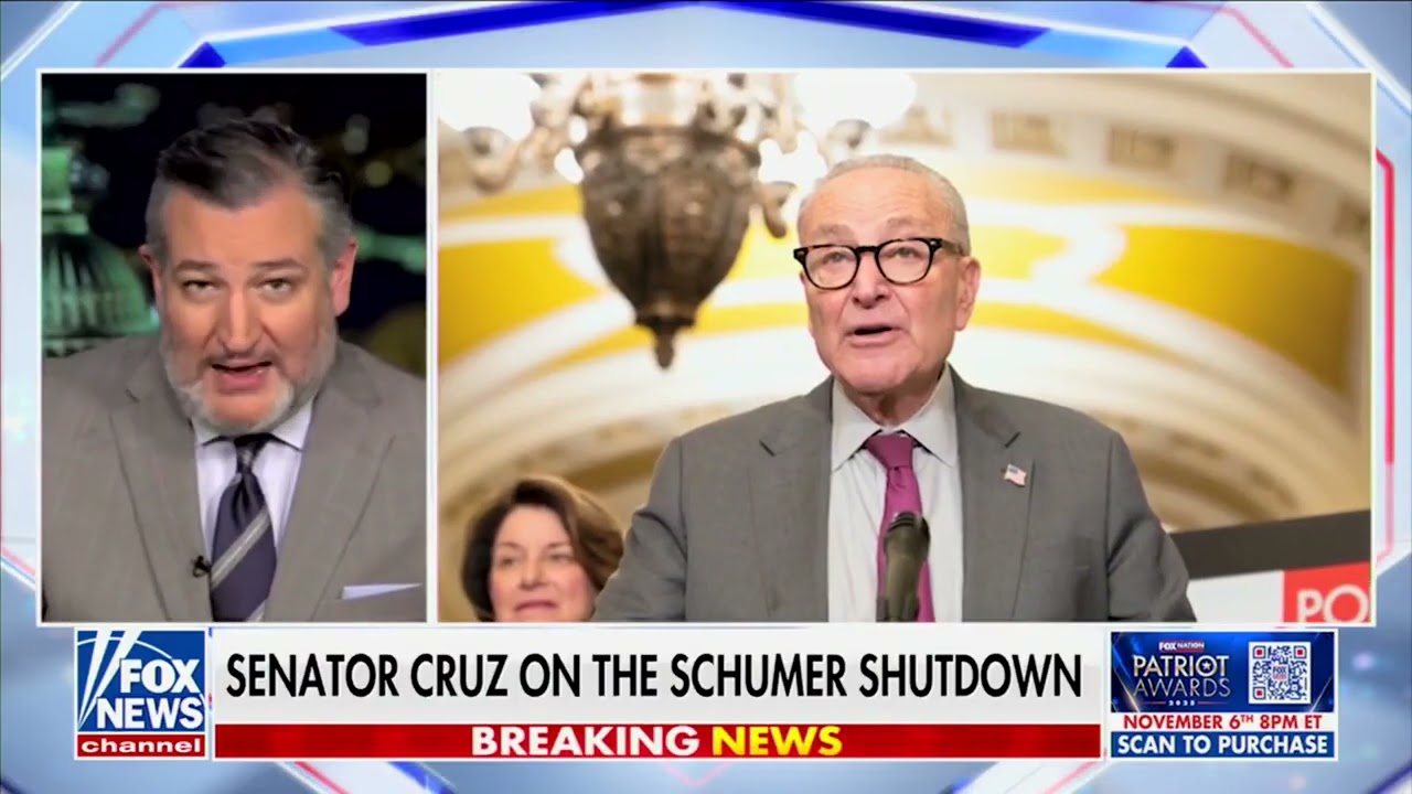 Cruz: "Considerable Evidence" Soros is Funding 'No Kings' Rallies