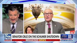 Cruz: Considerable Evidence Soros is Funding No Kings Rallies