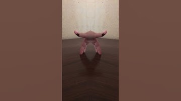 meet the Floating Hand Spider! #floatinghandspider #spider