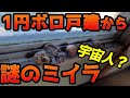 -60万円の物件で謎のミイラ発見　Alien mummy