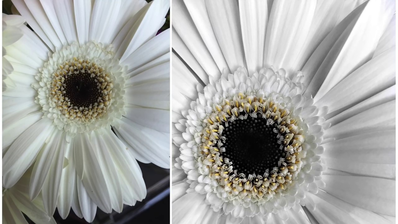 10 Essential Photo Editing Techniques For Creating Incredible IPhone Photos That Everyone Adores 