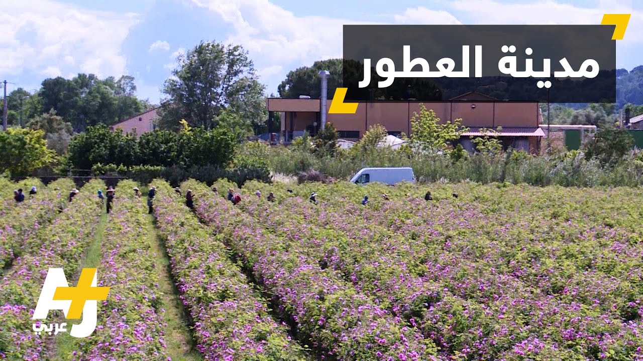 فن عابر للأجيال