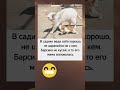 Веди себя хорошо #шортс #юмор #смех #прикол #рекомендации #мем #смешно #смешновидео #смешнойшортс